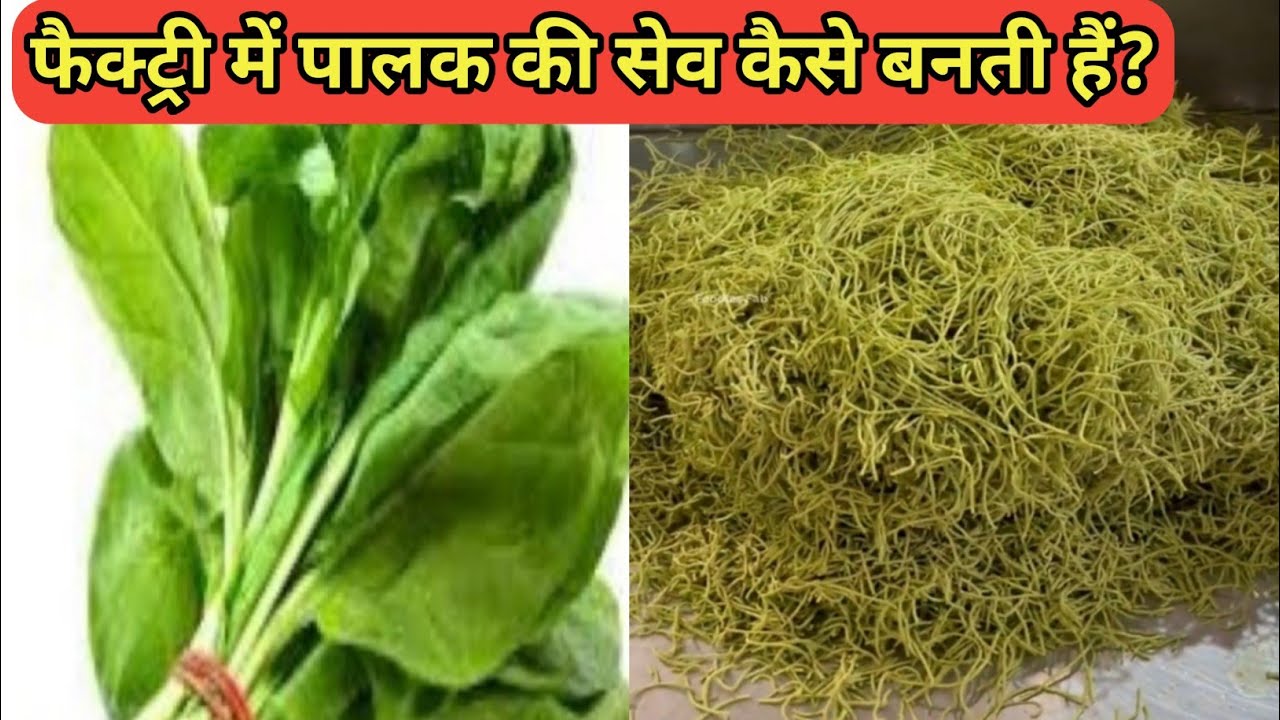 Crispy Palak Sev Making By Machine | Indian Dry Snacks |  SEV Namkeen Making in Factory