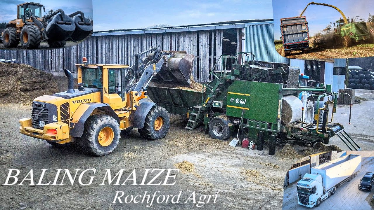 Baling & Wrapping Maize 2025 - Harvesting, Baling & Delivering - Rochford Agri