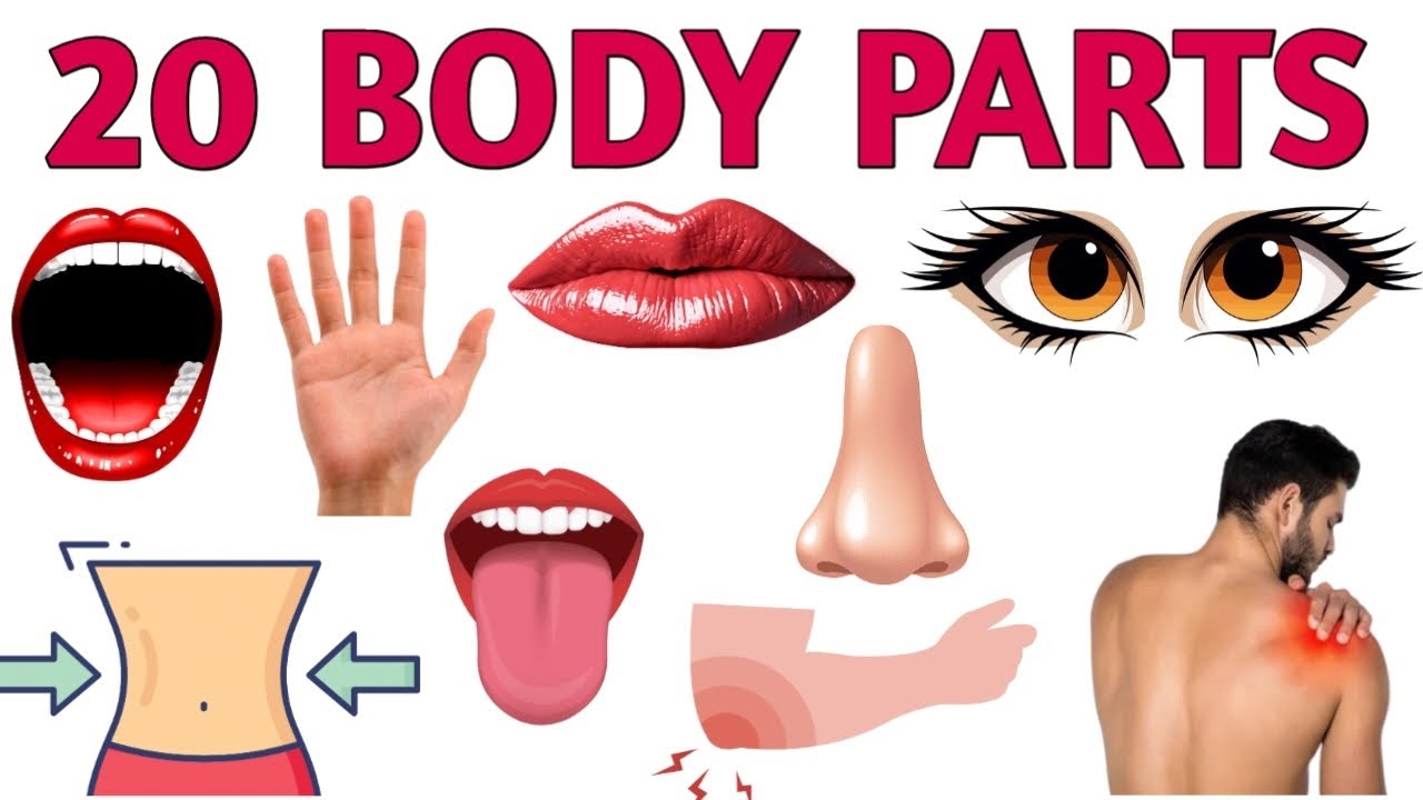 Learn 20 Body Parts in English | Body Parts Name for Kids | Kids Learning Video