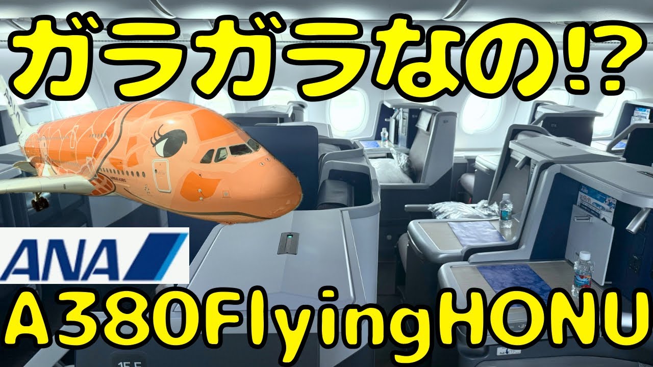 【マジかよ...】ANAハワイ🇺🇸線限定で使われてるA380ホヌのビジネスクラスで帰国すると...