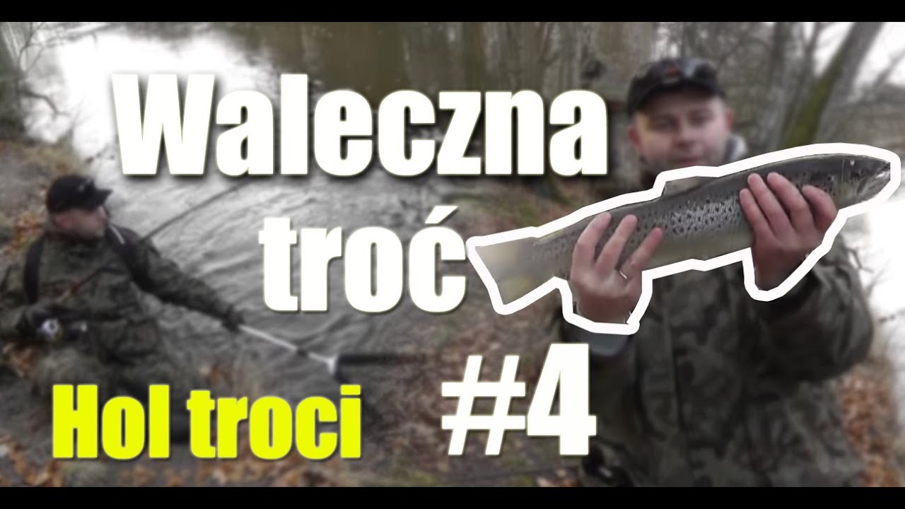 Waleczna troć - 06.01.2015 I Hol troci - 53 cm I