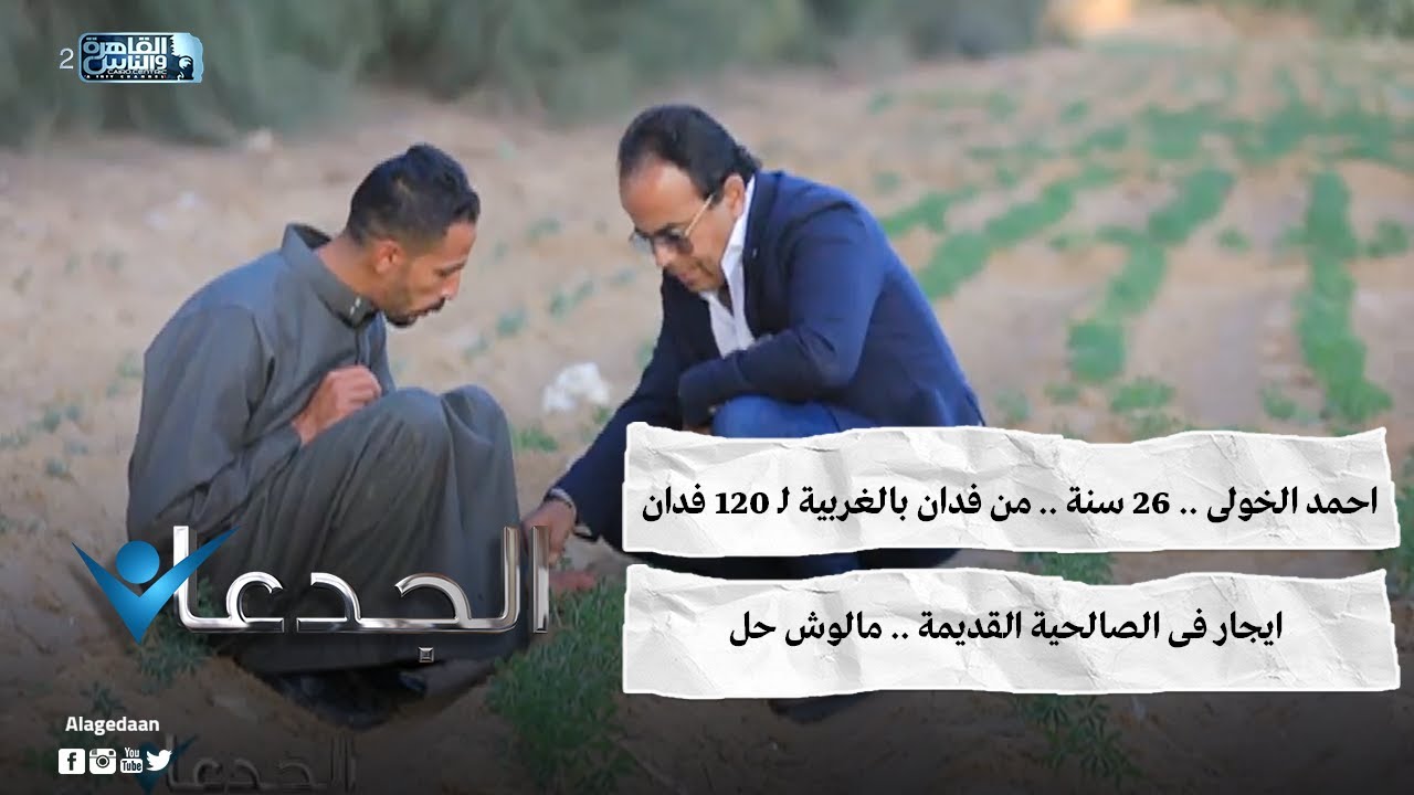 احمد الخولى .. ٢٦ سنة .. من فدان بالغربية لـ 120 فدان ايجار فى الصالحية القديمة .. مالوش حل