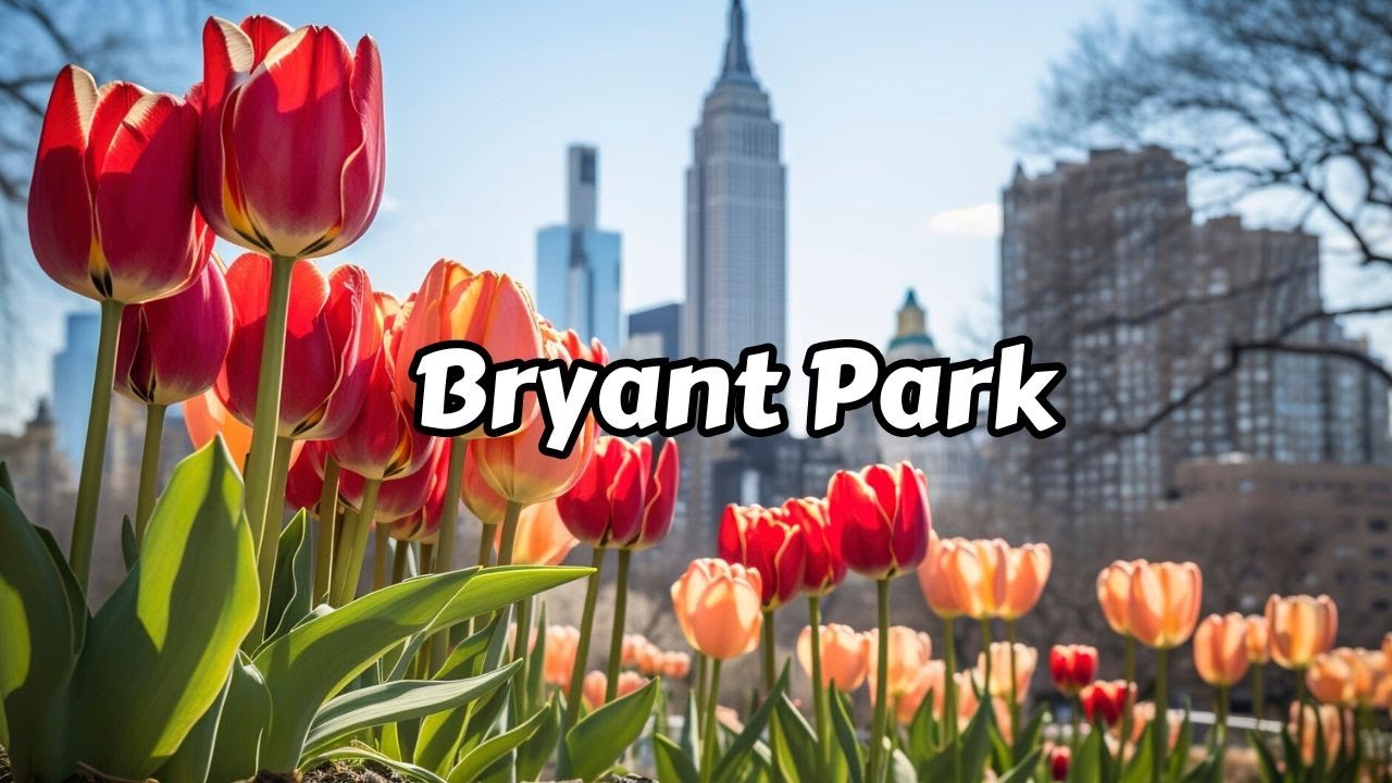 New York City Walking Tour 4k 2024