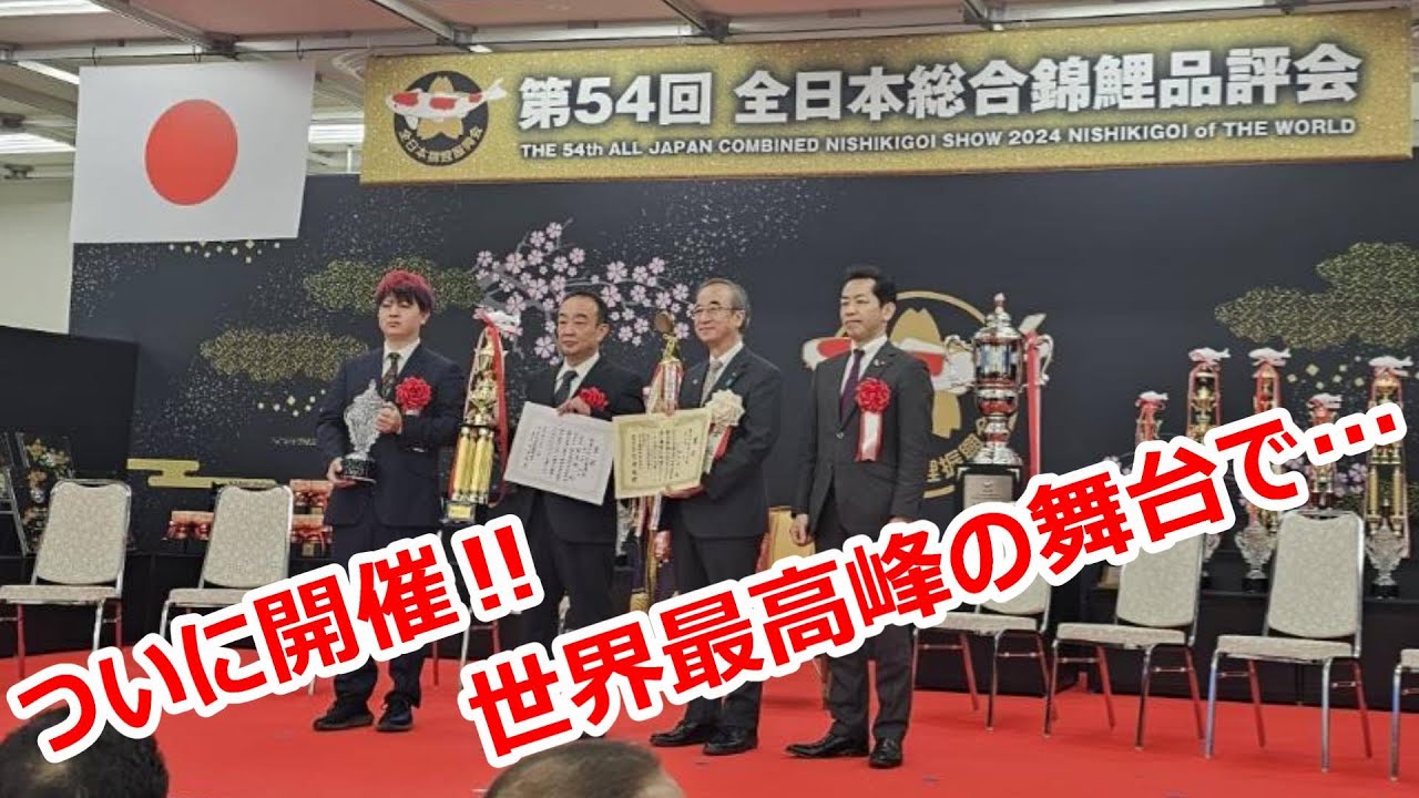 【金太郎錦鯉】第54回全日本総合錦鯉品評会