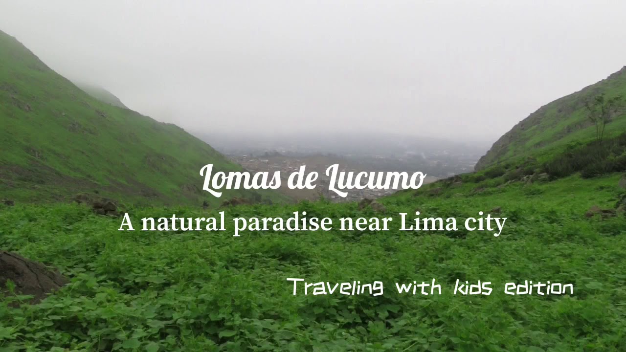 Lomas de Lucumo, a paradise near Lima / Adventurous Travel