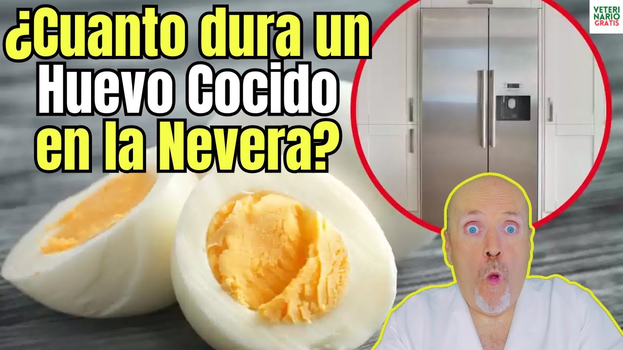 🆘 ¿CUANTO DURA UN HUEVO COCIDO EN LA NEVERA? 🆘