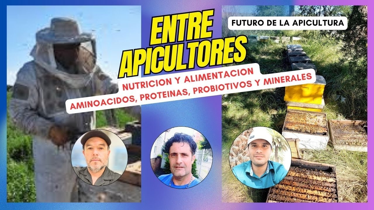 Nutrición de las abejas: aminoácidos, proteínas, probióticos y minerales esenciales en la apicultura