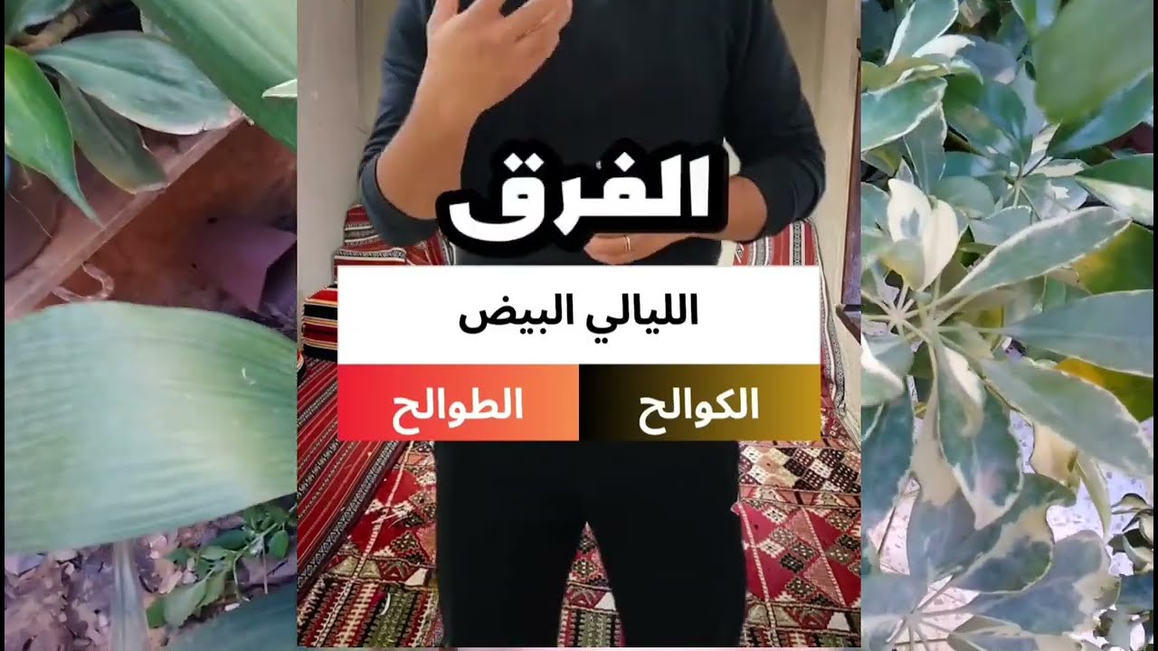 السبات النباتي (Dormancy): حالة توقف مؤقت للنمو