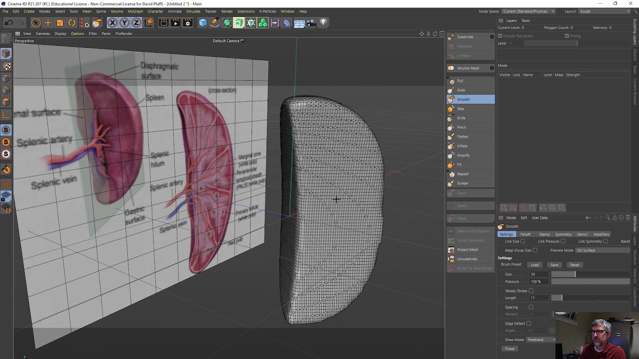 Using Sclupt tool in Cinema 4d