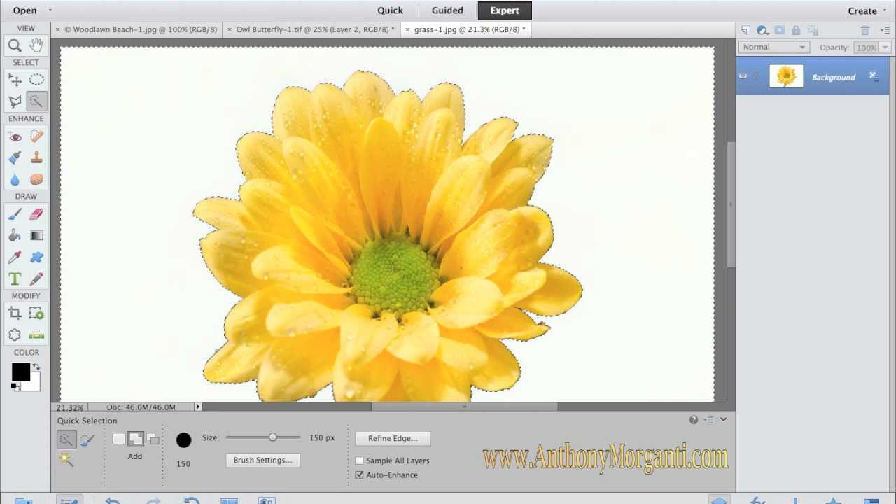 Изучите Adobe Photoshop Elements 11 — Часть 4: Инструменты (Учебное пособие)