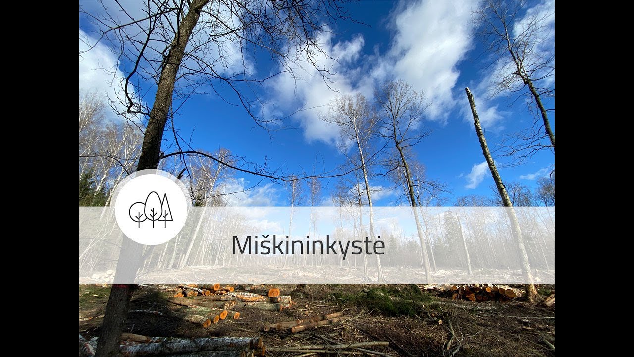 Miškas reikalauja priežiūros, o darni ir atsakinga miškininkystė – žinių bei patirties