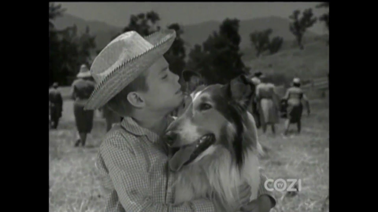 Lassie - Episode #339 - 