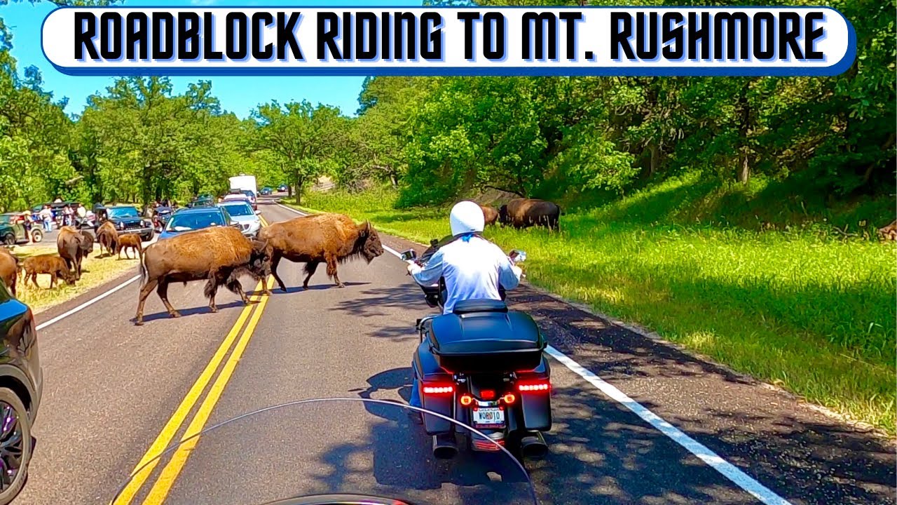 Visit to Crazy Horse, Mt Rushmore, Ride the Iron Mountain Road, Sturgis Rally 2020