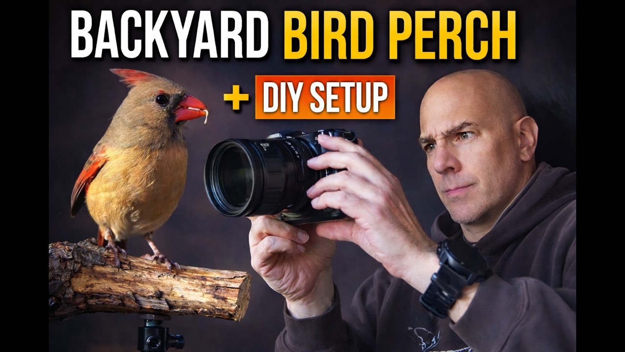 BACKYARD BIRD PHOTOGRAPHY | Building a Natural Bird Perch