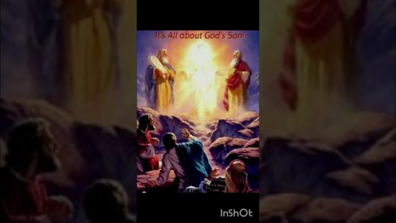 Bible. message