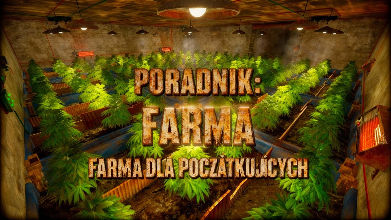 FARMA DLA POCZĄTKUJĄCYCH 2025 || RUST PL || RUST PORADNIK