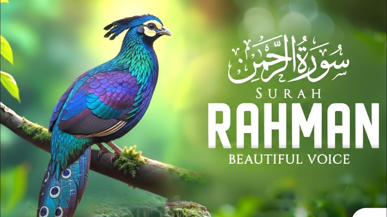 Surah Ar-Rahman (سورة الرحمن) | Most Beautiful & Peaceful Quran Recitation #rahman 