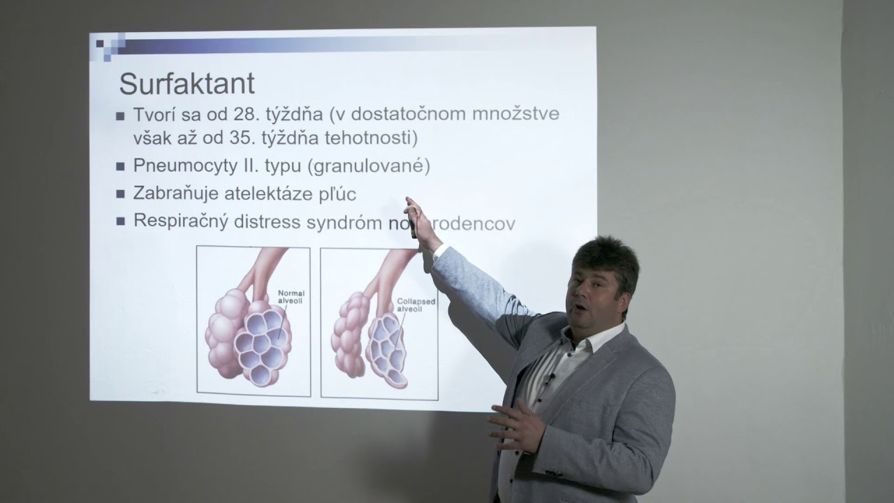 Histológia a embryológia dýchacej sústavy