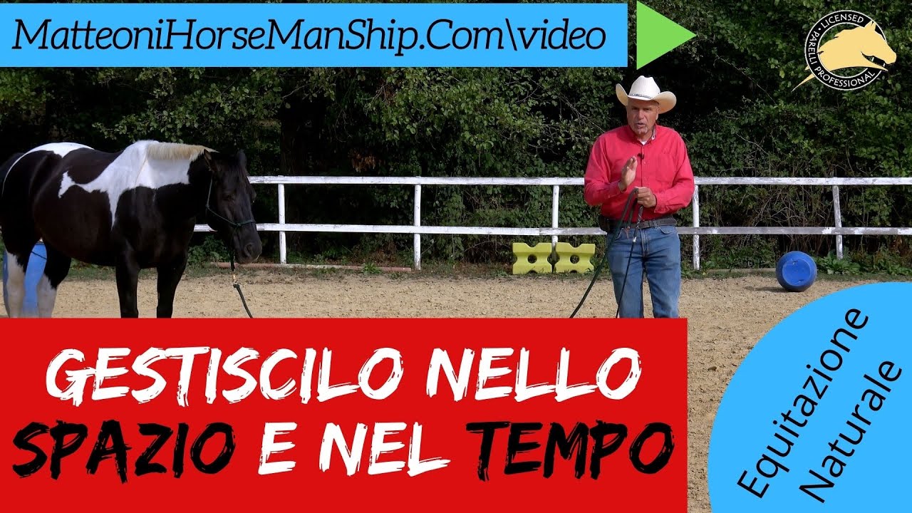 Gestisci il tuo cavallo nello spazio e nel tempo  Addestra con pazienza e Precisione