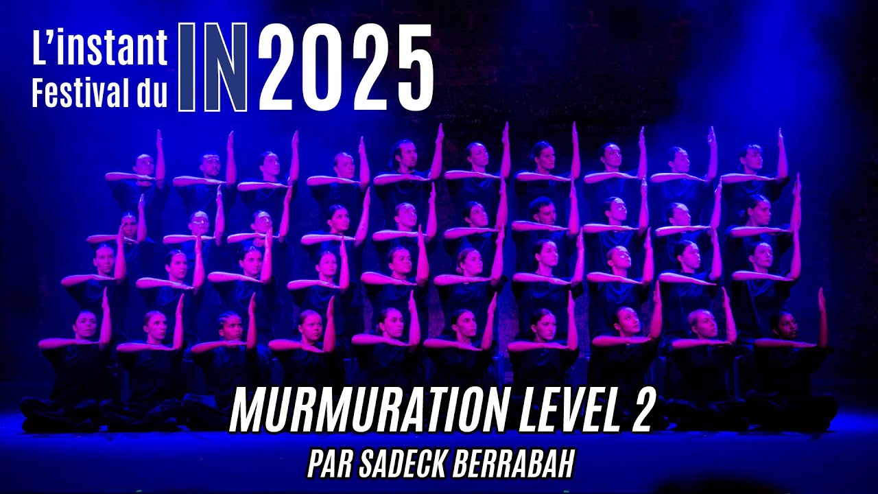 L'instant Festival : Murmuration Level 2