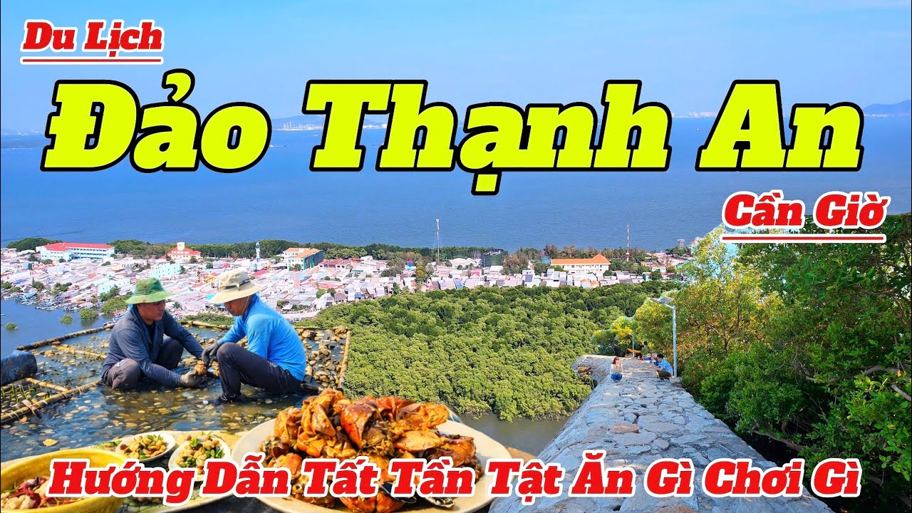 Du Lịch Đảo Thạnh An Cần Giờ 2026 | Hướng Dẫn Đi T&agrave;u Sang Đảo Ăn G&igrave; Chơi G&igrave; Chi Tiết V&agrave; Mới Nhất