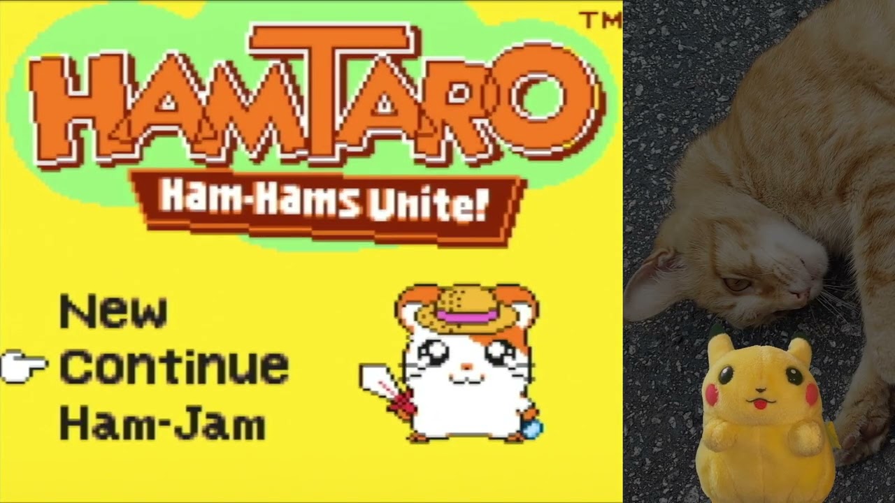 Hamtaro: Ham-Hams Unite! (GBC) Playthrough Part 3