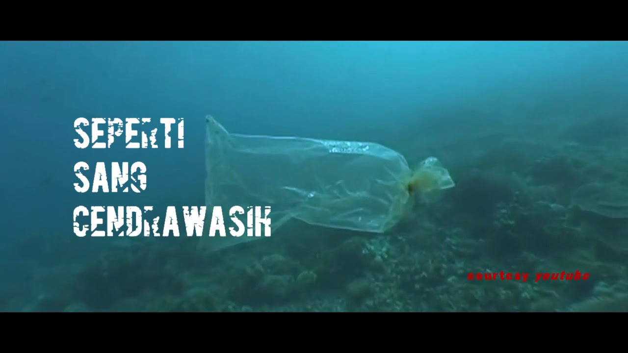 Armonica - Cendrawasih - ( Official Musik Video)