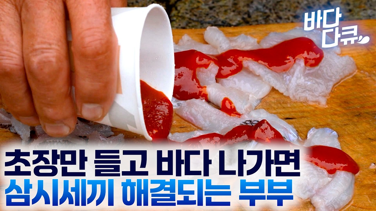 평생 꿈만 꾸던 섬에 집 짓고 살기로 했다 / 밥 때 되면 그물에 초장만 들고 밥 먹으러 나가는 부부 / 한국기행 / #바다다큐