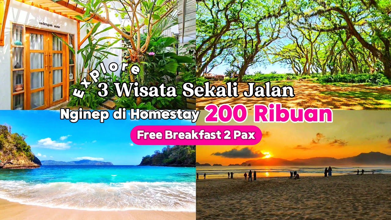 HOMESTAY 200RIBUAN DAPET SARAPAN | BETAH HOMESTAY BANYUWANGI + Trip Djawatan, Pulau Merah, Teluk Ijo