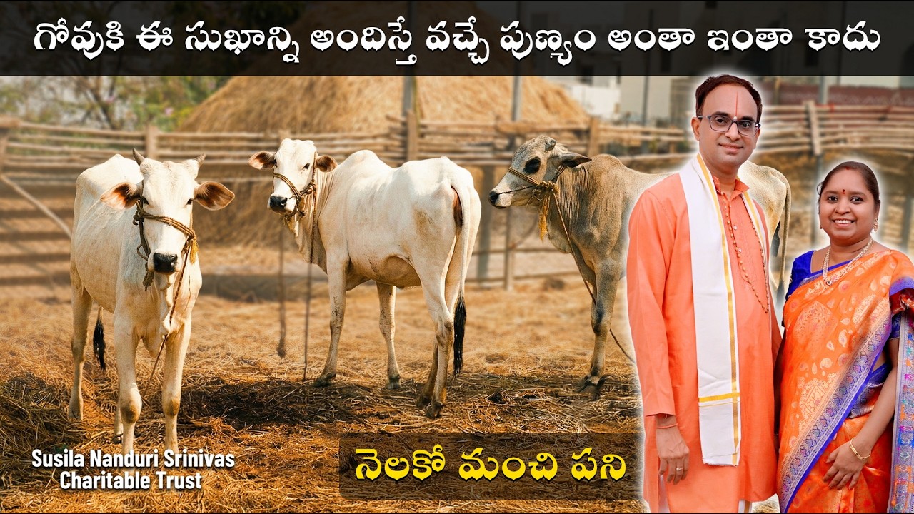 వేసవి మొదలయ్యే లోపు తప్పక చూడండి | Watch it before summer starts| Susila Nanduri Srinivas Trust