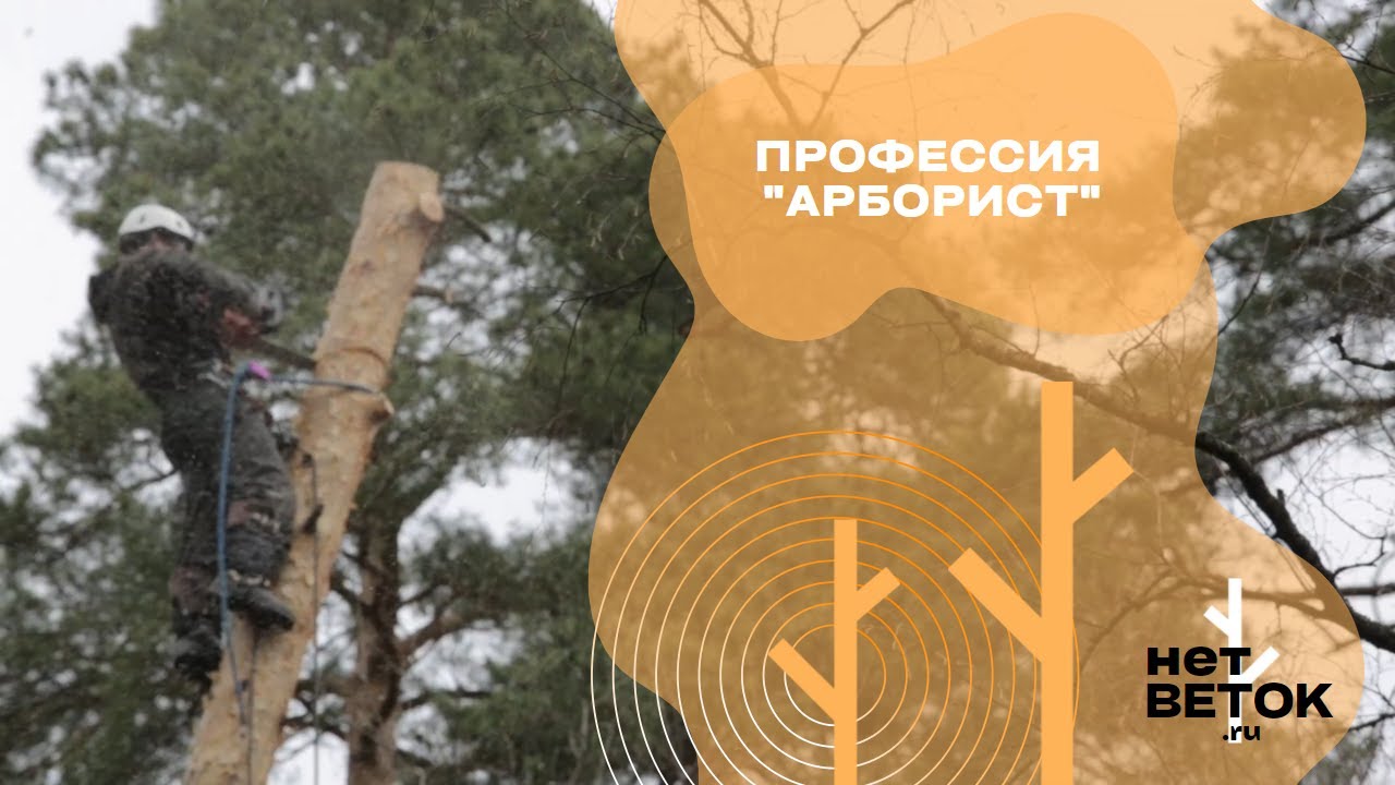 Профессия 