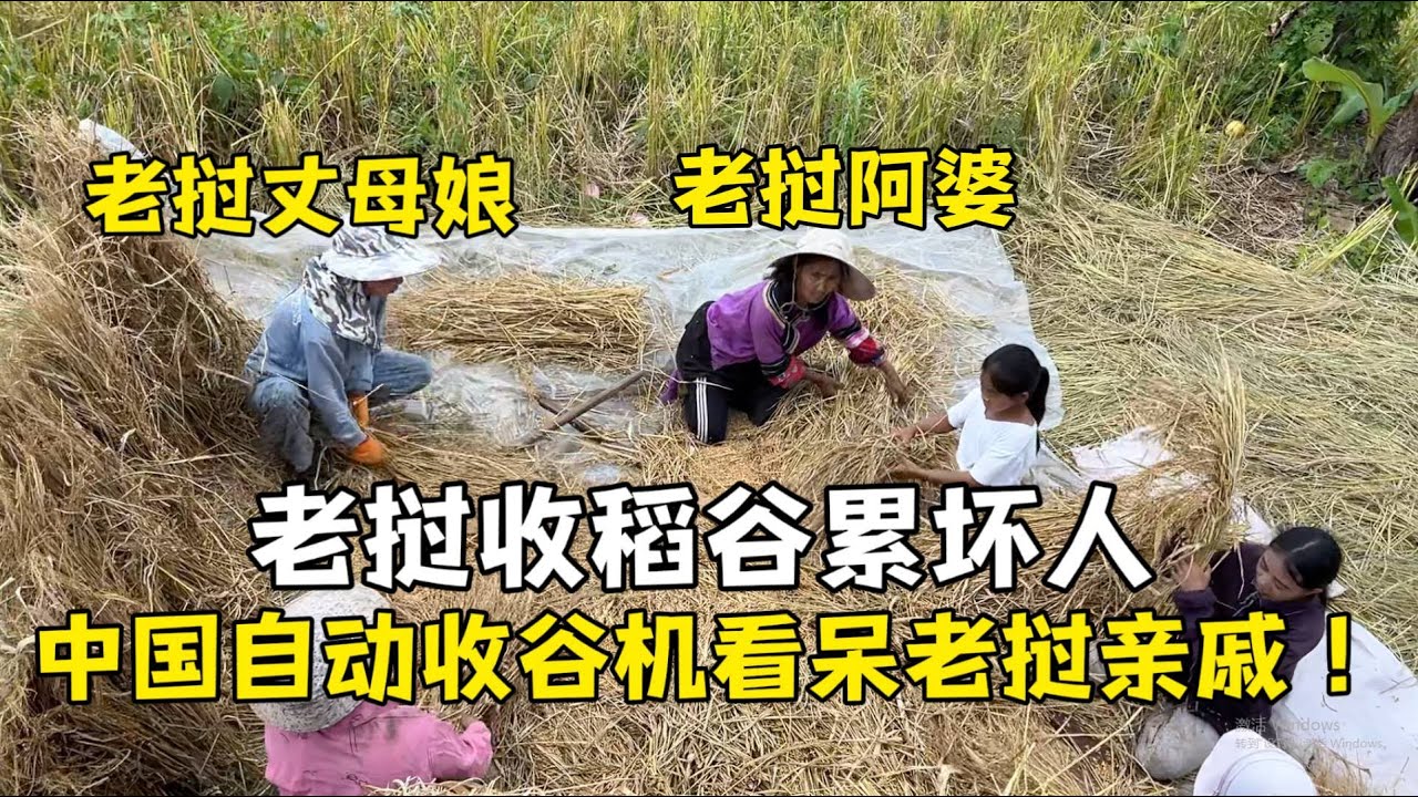 老撾打稻穀累壞人，自動收割機小姨一家都呆了：中國的高科技！
