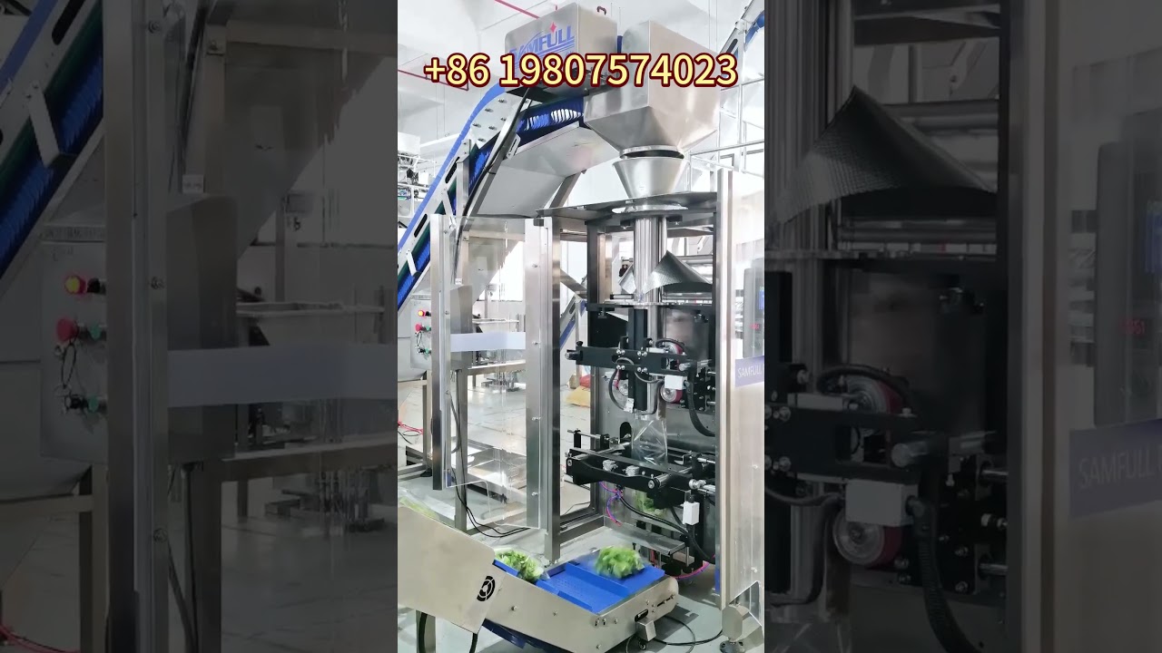 Leafy greens packing machine, salad vegetable packing machine, vegetable packing equipment