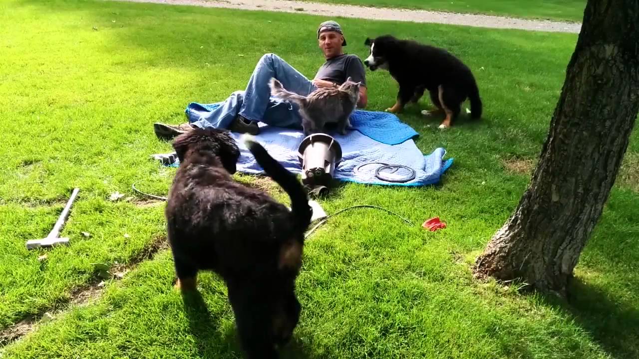 Helpers came to help
