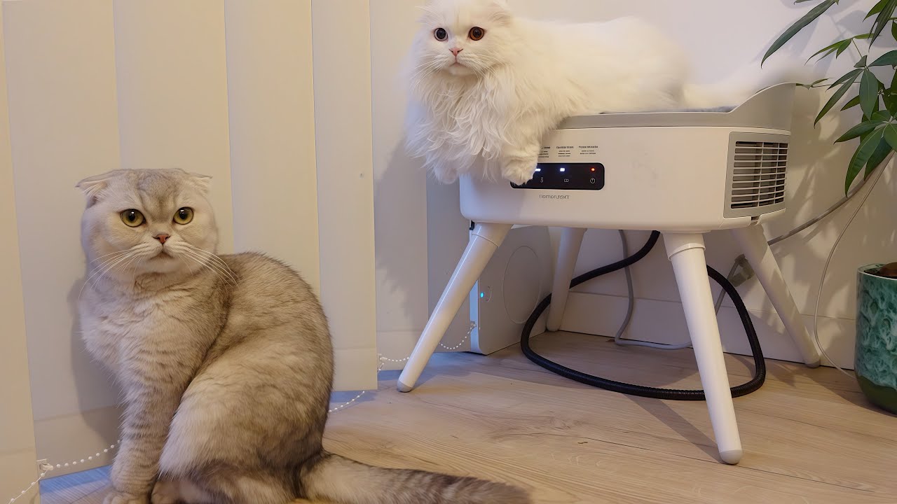 HOMERUNPET SMART PET SPACE HEATER