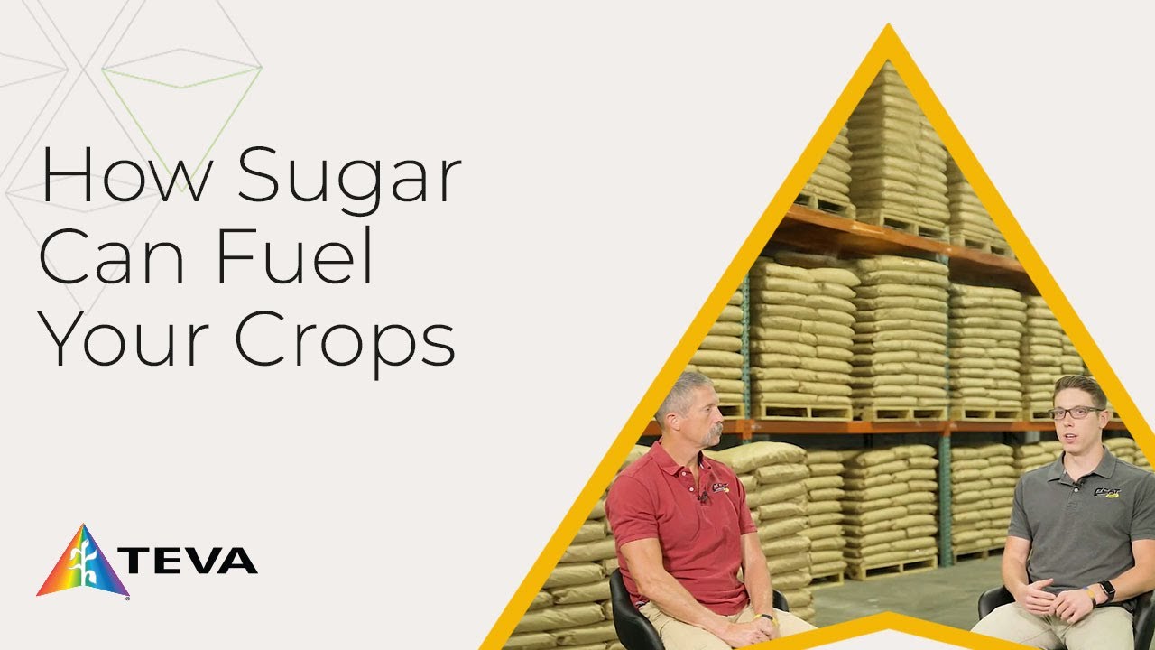 Sugar in Agriculture