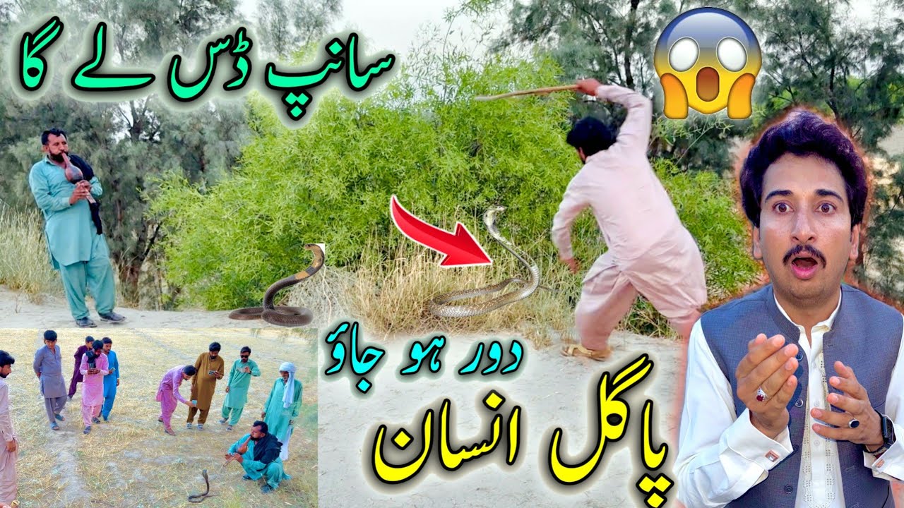 Dor Ho Jao Pagal Insane 😱Sanp Dass Lay Ga 😡 🐍