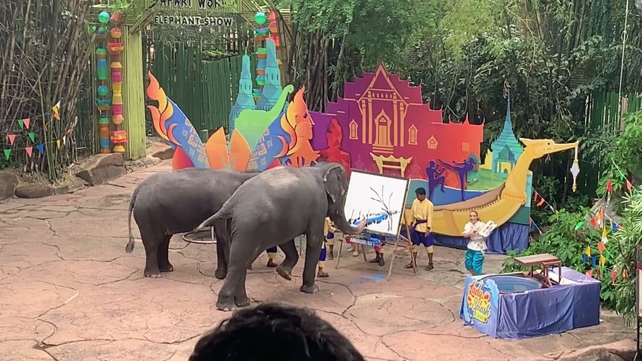 #thailand 