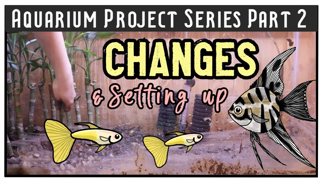 Restarting The Setup || MAKING A COMMUNITY AQUARIUM SERIES PART 2