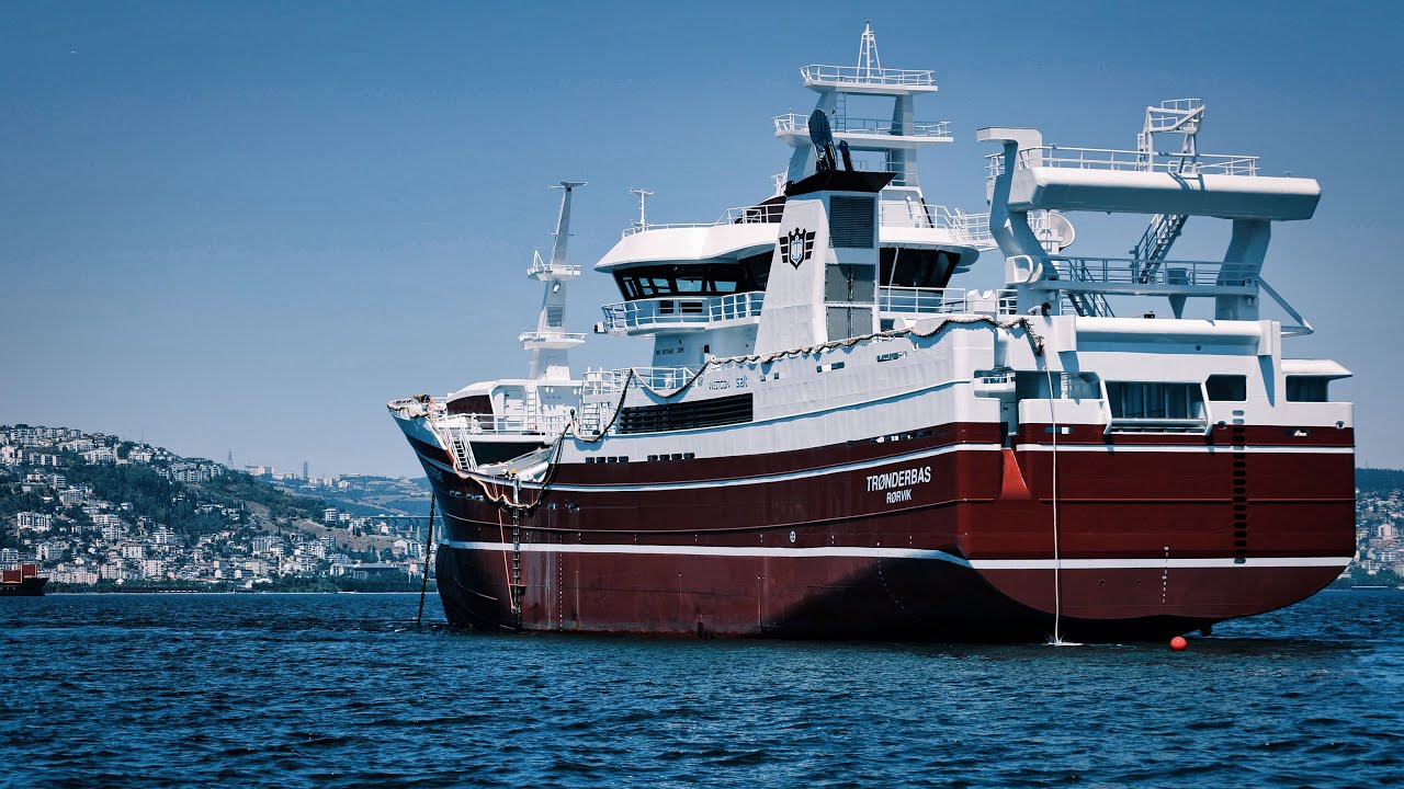 NB21 - Tronderbas Delivered