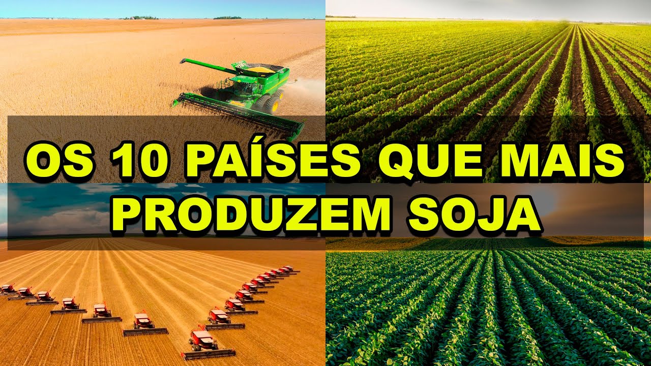Os 10 países que mais produzem soja