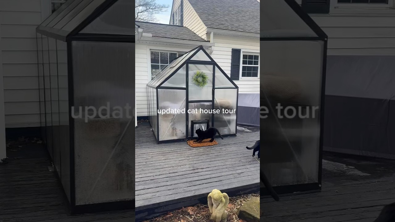 updated little cat house tour!
