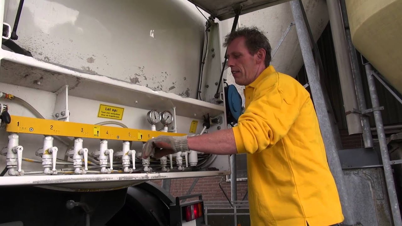 Feijen diervoeders rundvee