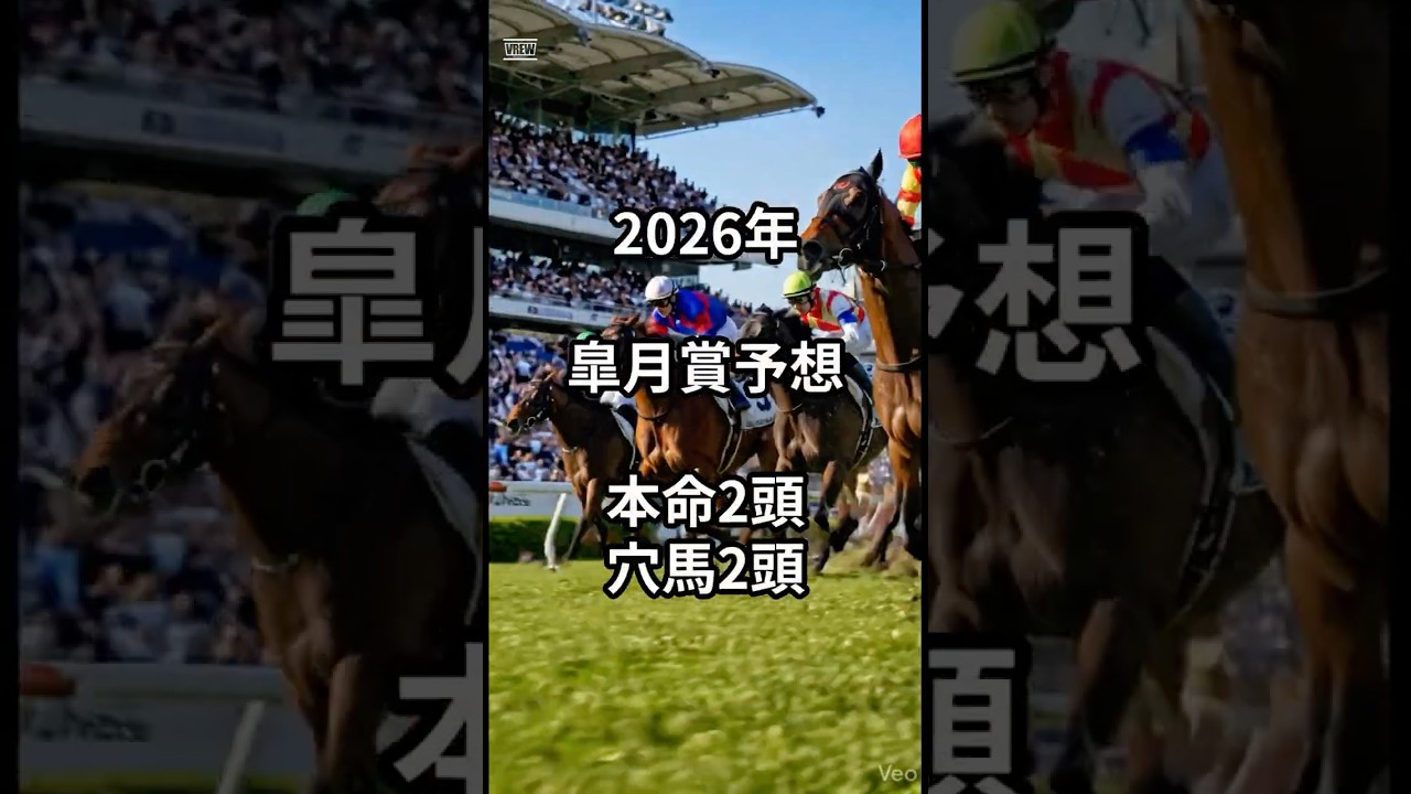 2026年皐月賞予想 #競馬 #競馬予想#皐月賞