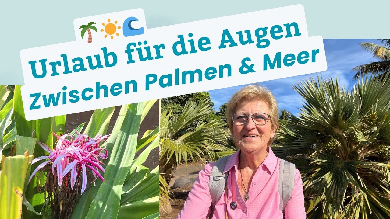 Palmetum - Ein Palmenparadies auf Teneriffa 🌴