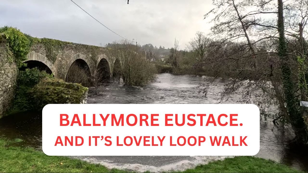 BALLYMORE EUSTACE, COUNTY KILDARE.