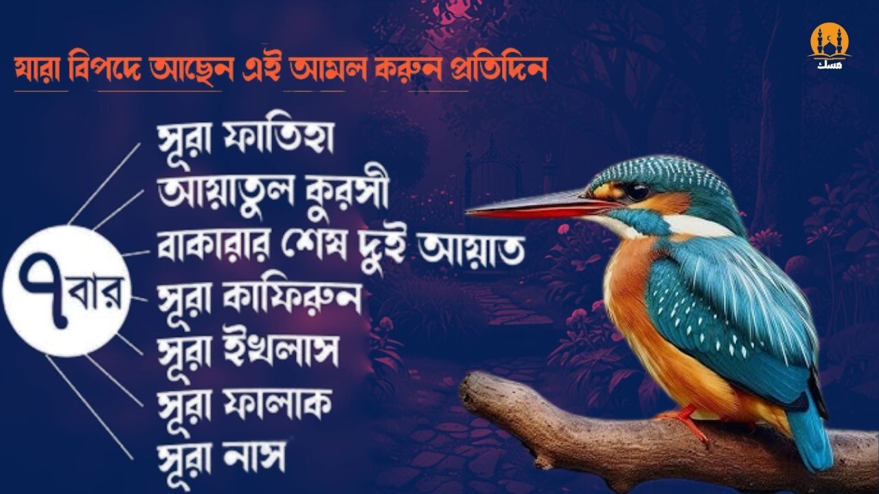 কালো জাদু , কু নজর, জ্বীন থেকে বাঁচুন-7x Al Fatiha, Ayatul Kursi, Amana Rasulu,4Quls-ALaa Aqel