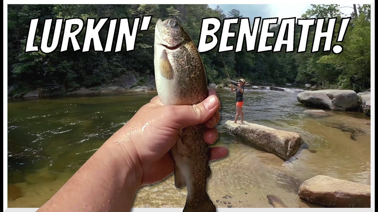 #MTBPlanB# Pisgah National Forest camping and fishing Wilson Creek.