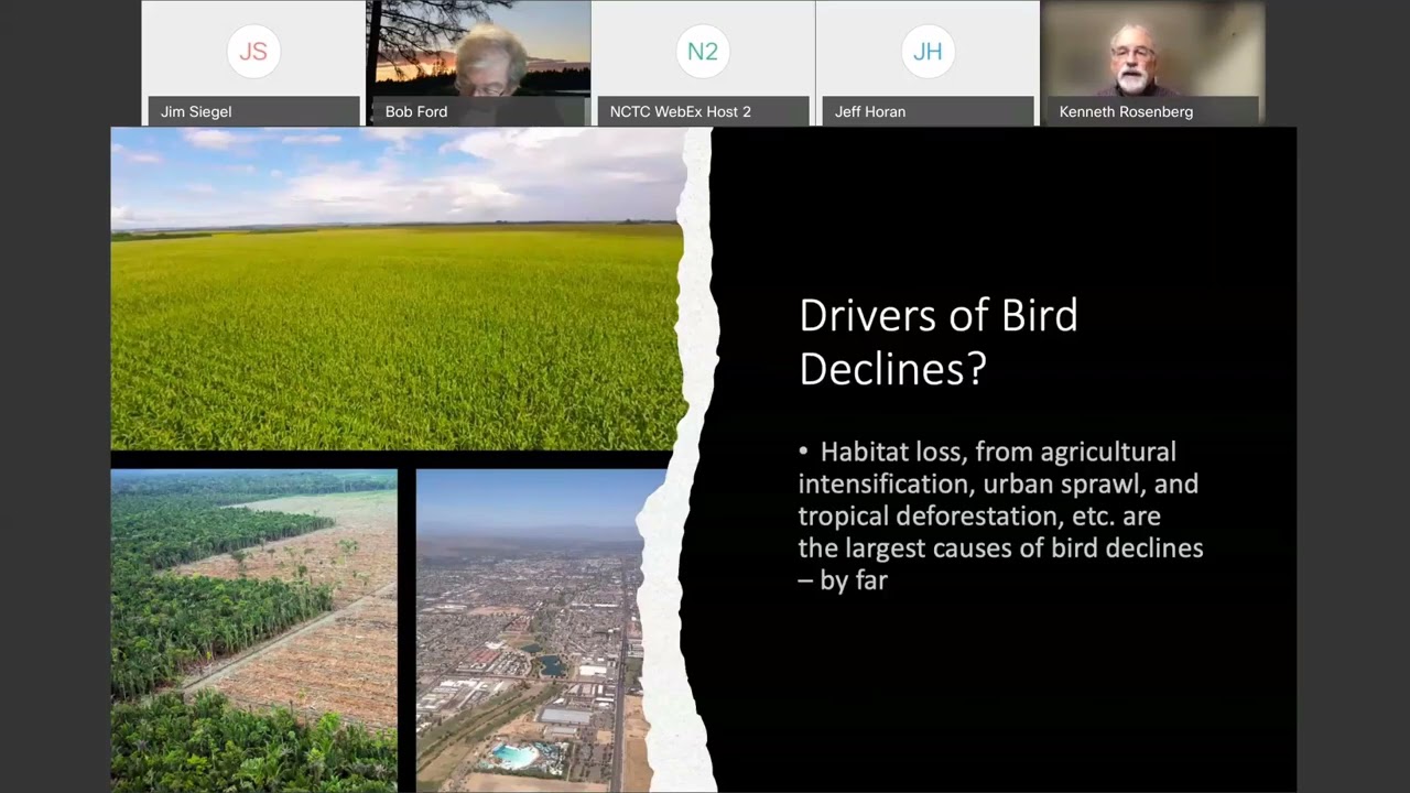 Webinar 1 Loss and Recovery of Forest Birds