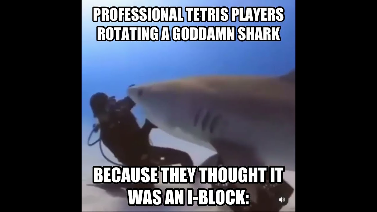 Professional Tetris players rotating a goddamn shark because they thought it&rsquo;s an I-Block #meme